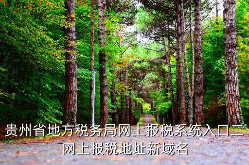 貴州地稅如何網(wǎng)上申報(bào)，貴州省地方稅務(wù)局網(wǎng)上報(bào)稅系統(tǒng)入口二網(wǎng)上報(bào)稅地址新域名
