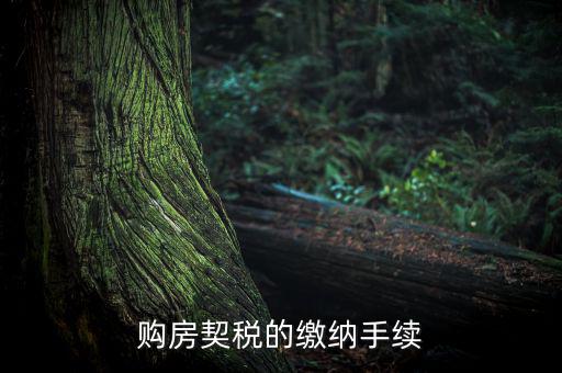 如何繳納契稅，購房契稅的繳納手續(xù)