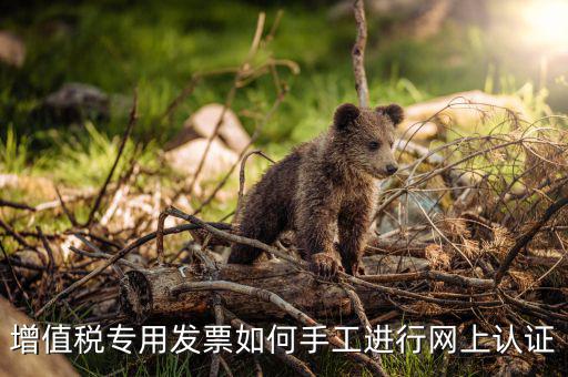 如何手工認證發(fā)票，網(wǎng)上發(fā)票認證怎么手工輸入