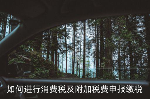 附加稅如何才能申報(bào)，如何進(jìn)行消費(fèi)稅及附加稅費(fèi)申報(bào)繳稅