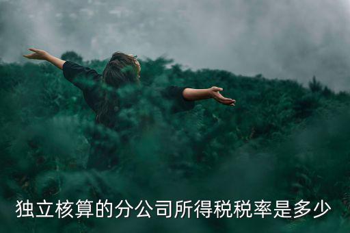 獨(dú)立核算的分公司如何納稅，誰(shuí)知道獨(dú)立核算的同城分公司如何繳稅