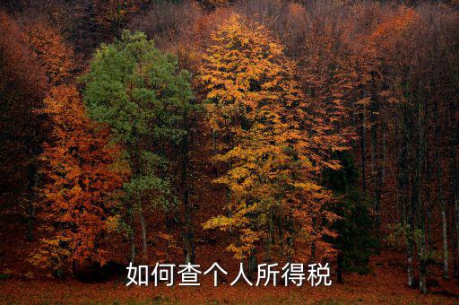 如何查詢(xún)個(gè)人所得稅，個(gè)人所得稅查詢(xún)