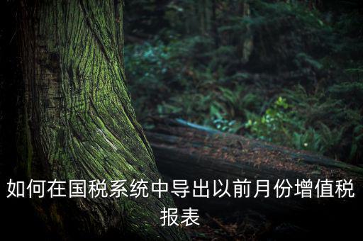 如何導出增值稅申報表，如何在國稅系統(tǒng)中導出以前月份增值稅報表