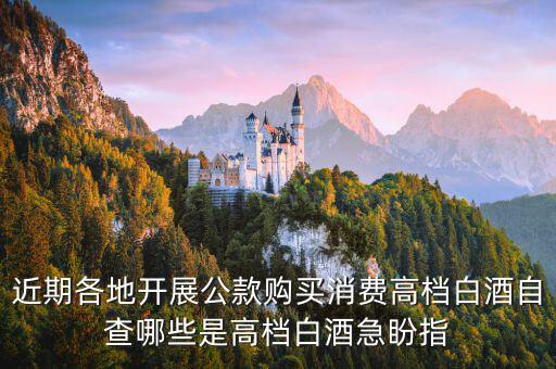 稅局如何排查高檔白酒，公款禁買高檔酒可行嗎能實施成功嗎