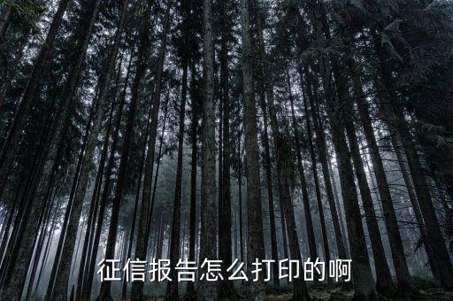 如何打印納稅信用等級，征信報告怎么打印的啊