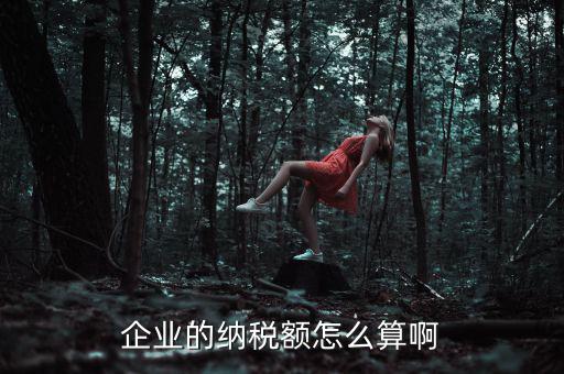 企業(yè)納稅如何計(jì)算，企業(yè)的納稅額怎么算啊