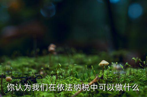 如何做到依法納稅，你認(rèn)為我們?cè)谝婪{稅中可以做什么