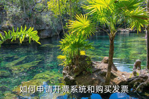 如何申請(qǐng)開票系統(tǒng)，個(gè)體工商戶怎么申請(qǐng)辦理開票系統(tǒng)望詳解分?jǐn)?shù)可追加
