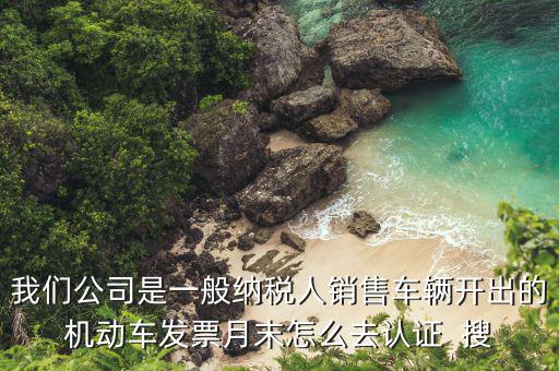 機(jī)動(dòng)車(chē)發(fā)票如何認(rèn)證，我們公司是一般納稅人銷(xiāo)售車(chē)輛開(kāi)出的機(jī)動(dòng)車(chē)發(fā)票月末怎么去認(rèn)證  搜