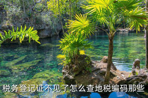 如何查地稅編碼，五證合一后地稅編碼怎么查