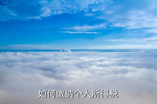 個體員工如何辦理個稅，如何繳納個人所得稅