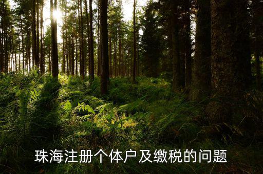 珠海稅票如何網(wǎng)上辦理，珠?？贪l(fā)票專用章程序