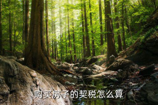 如何省契稅，契稅怎么算