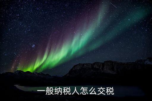 一般納稅人如何交稅，一般納稅人開普通發(fā)票怎么繳稅啊