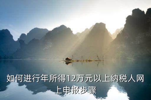 攜稅寶如何申報12萬元，年收入12萬如何申報