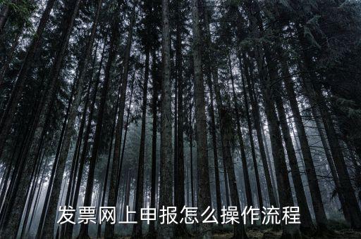 如何國(guó)稅局網(wǎng)上申請(qǐng)開(kāi)票，如何登錄稅務(wù)網(wǎng)上開(kāi)票