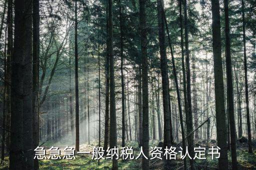 一般納稅人如何認定書，急急急一般納稅人資格認定書