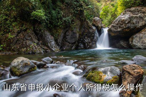 山東省如何網(wǎng)上申報(bào)所得稅，山東國(guó)稅2008年度企業(yè)所得稅實(shí)行網(wǎng)上申報(bào)