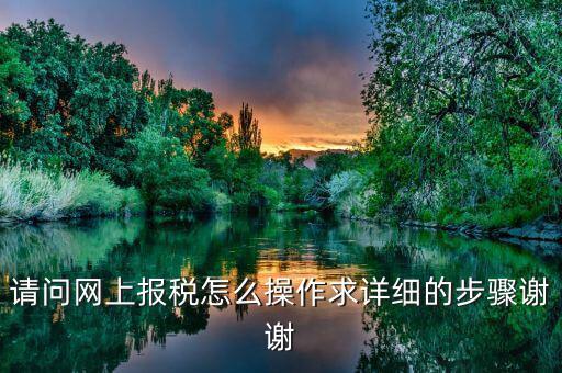 如何指引納稅人使用網(wǎng)上稅務(wù)局，請(qǐng)問網(wǎng)上報(bào)稅怎么操作求詳細(xì)的步驟謝謝