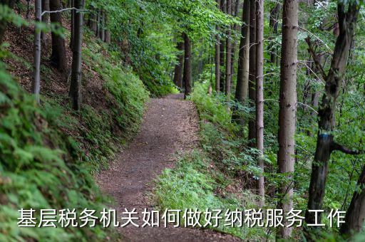 基層稅務(wù)機關(guān)如何適應(yīng)稅收現(xiàn)代化，基層稅務(wù)機關(guān)如何做好納稅服務(wù)工作