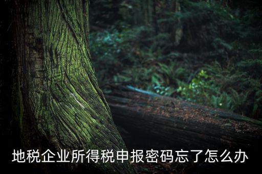 南京地稅密碼如何重置，個(gè)人所得稅忘記密碼之后如何進(jìn)行重置呢