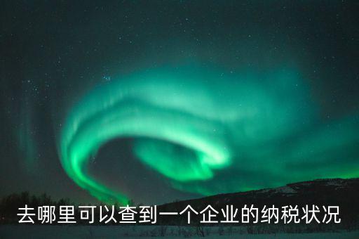 企業(yè)在哪納稅如何查，去哪里可以查到一個(gè)企業(yè)的納稅狀況