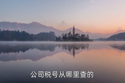 企業(yè)稅號如何查詢，公司稅號從哪里查的