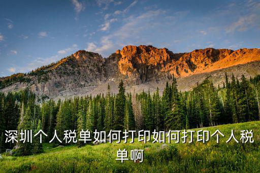 深圳網(wǎng)上如何打印稅單，怎樣在網(wǎng)上打印稅單我是深圳寶安區(qū)的