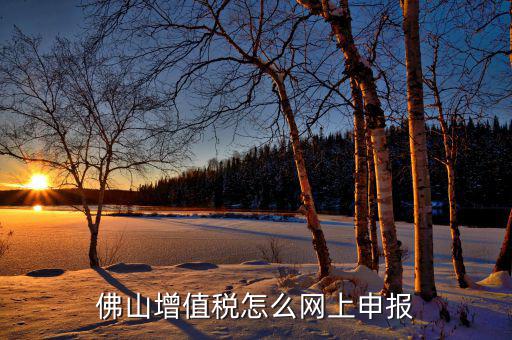 佛山地稅如何網(wǎng)上申報(bào)，佛山增值稅怎么網(wǎng)上申報(bào)