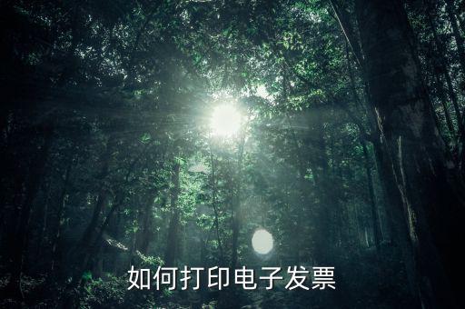 如何打印電子稅務(wù)局的電子發(fā)票，電子發(fā)票怎樣打印