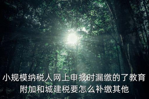 過(guò)了征期如何補(bǔ)交城建稅，請(qǐng)問(wèn)城建稅忘記交怎么辦