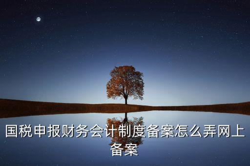 電子稅務(wù)局如何會(huì)計(jì)制度備案，2017年電子稅務(wù)局財(cái)務(wù)報(bào)表備案是不是可以馬上填寫