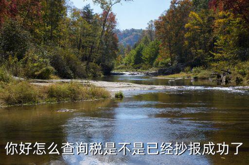 如何查看抄報(bào)成功，稅控發(fā)票開票軟件怎么看網(wǎng)上抄報(bào)成功沒有