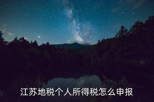 如何申報年稅江蘇，江蘇地稅個人所得稅怎么申報