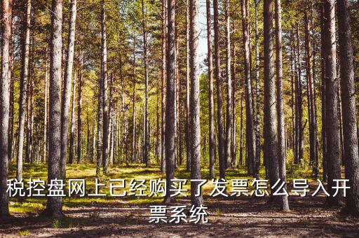 如何進(jìn)入開票系統(tǒng)，怎么進(jìn)入國家稅務(wù)局發(fā)票填開系統(tǒng)