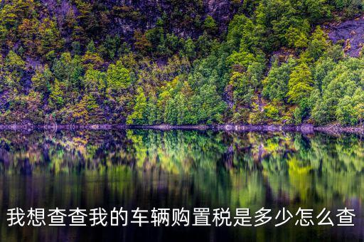 如何看購置稅發(fā)票，我想查查我的車輛購置稅是多少怎么查