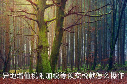 跨區(qū)稅源登記 如何繳納附加稅，異地增值稅附加稅等預(yù)交稅款怎么操作