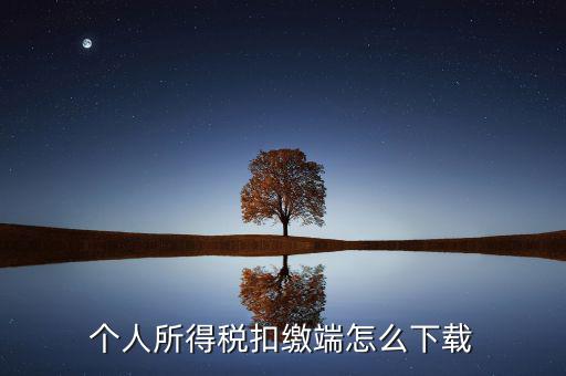 如何下載自然人扣繳客戶端，重慶市自然人電子稅務(wù)局扣繳端怎么下載