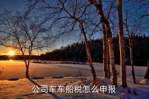 單位汽車的車船稅如何申報，公司車車船稅怎么申報