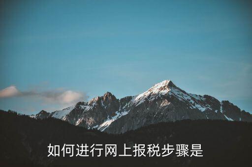 如何推行網(wǎng)上辦稅，如何辦理網(wǎng)上納稅