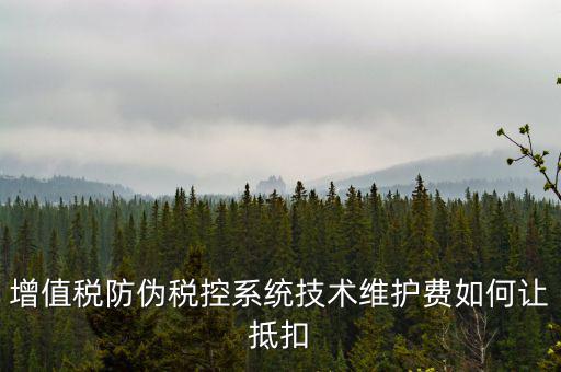 稅控維護(hù)費如何抵稅，稅控維護(hù)費抵扣問題