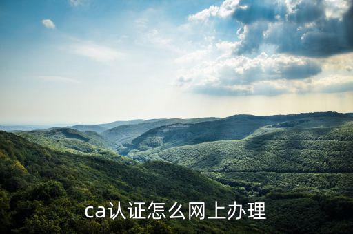 四川網(wǎng)上稅務(wù)如何ca登錄，ca證書如何登錄國稅