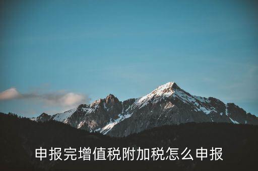 附加稅在國(guó)家稅務(wù)局網(wǎng)如何申報(bào)表，網(wǎng)上申報(bào)城建稅教育附加稅怎么填