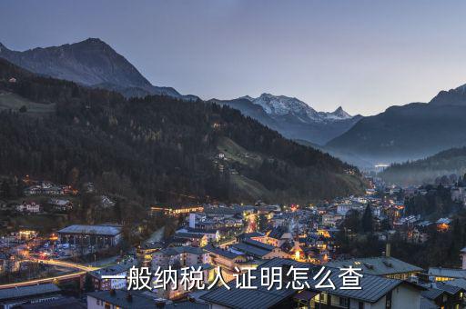 如何查轉(zhuǎn)一般納稅人日期，一般納稅人怎么查詢