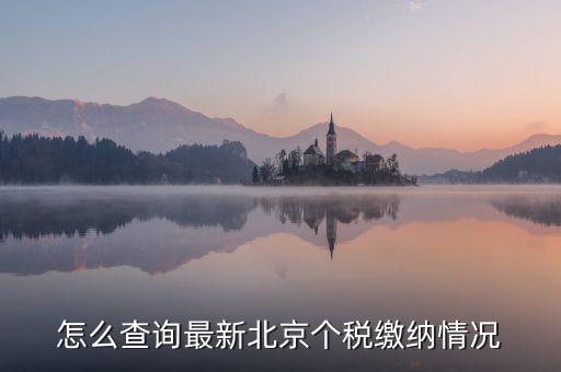 北京市 欠稅人員如何查詢，稅務(wù)欠稅信息如何查詢