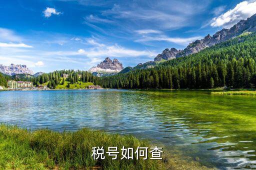 國際企業(yè)稅號如何查詢，老外要公司稅號他怎么查呢