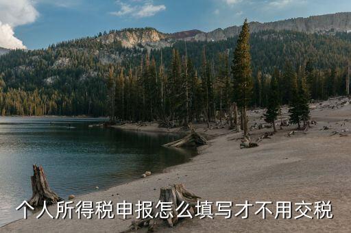 福建自然人個(gè)稅如何申報(bào)才不用繳稅，個(gè)稅專項(xiàng)附加扣除怎樣填寫才不繳稅