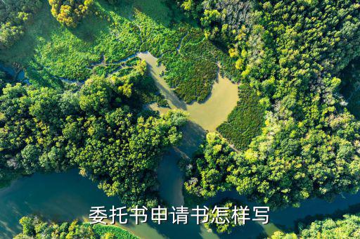 委托代征管理的申請如何寫，委托書申請書怎樣寫
