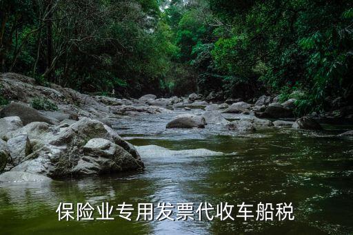 保險(xiǎn)代收車船稅如何報(bào)稅，車船稅保險(xiǎn)公司代扣代繳后納稅申報(bào)表怎么做