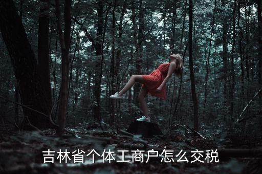 吉林個人所得稅如何申報，個人所得稅申報問題吉林省